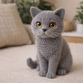 Cat Toy